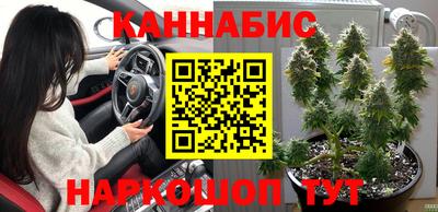 спиды Тулун